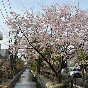 初音 京都